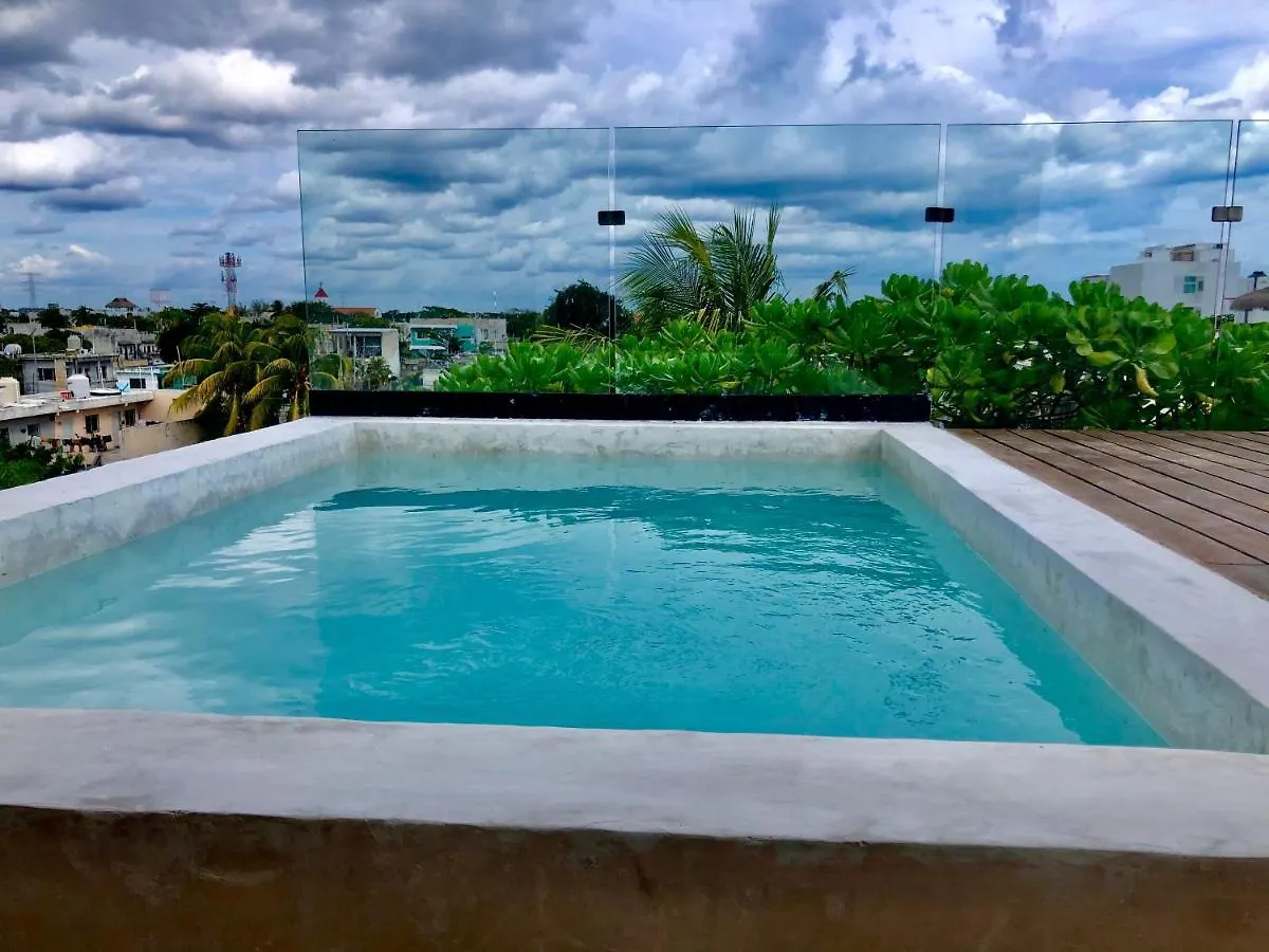 Polo 15 Suites Playa del Carmen Hotel