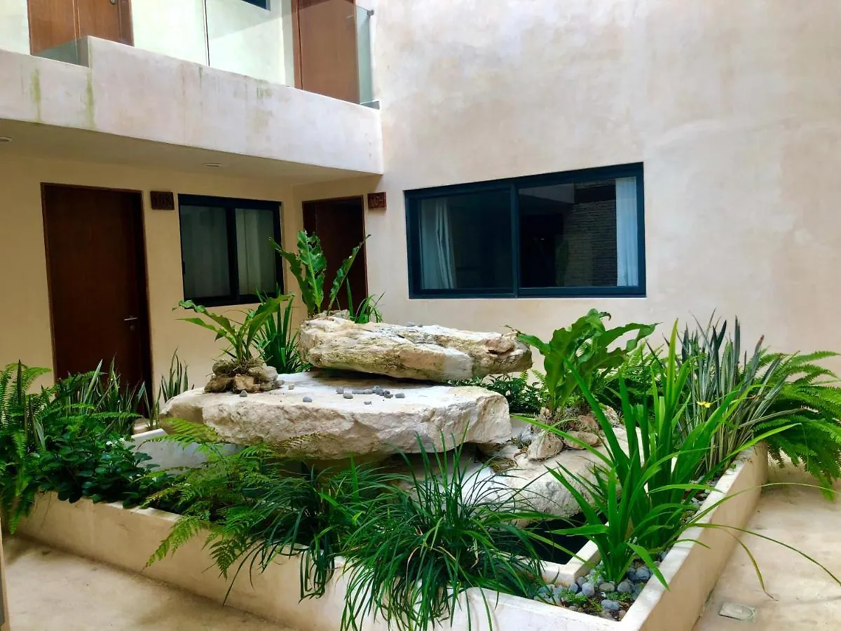 Polo 15 Suites Playa del Carmen Hotel